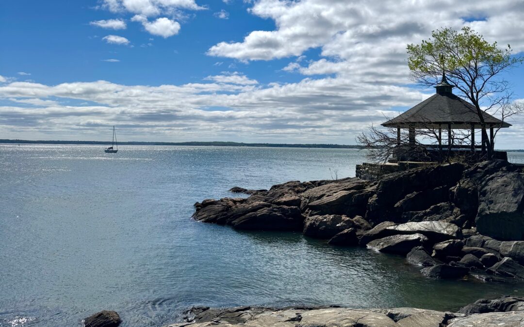 Loving Larchmont: Where Coastal Charm Meets Commuter Convenience